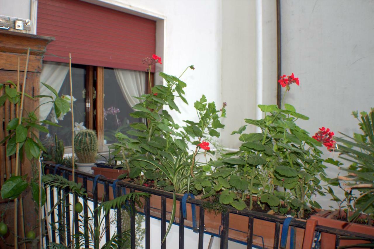 B&B Lili Salerno Exterior photo